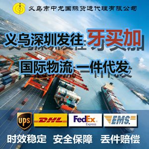Servicio de Transporte Internacional Zhonglong Azerbaijan CIS Jamaica Gambia Guadalupe Origen China - Product Image 3