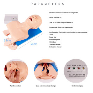 Appareil de traction pour adultes, dispositif de santé, avec bras gonflable et ventre - Product Image 2
