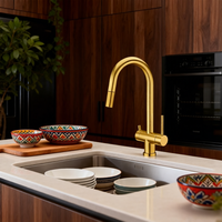 Nouvelle conception Robinet de cuisine 5 fonctions avec douchette extractible, eau chaude, froide, filtrée et pétillante