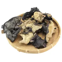 Cogumelos de madeira natural de alta qualidade, cogumelos pretos comestíveis de árvore de madeira