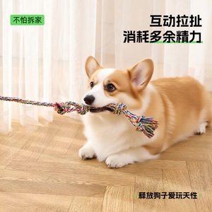 Nuevo juguete para perros, juguete interactivo para perros, palo de entrenamiento para mascotas, artículo popular de exportación. - Product Image 5