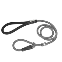 Laisse d'entraînement moderne SecureGrip de type P pour chiens avec motif rayé et décoration réfléchissante, 100 % nylon