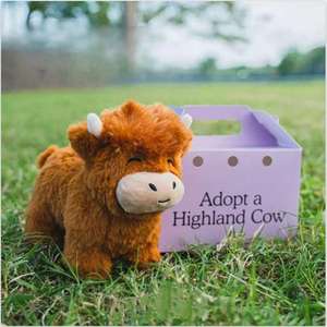 Nuevos juguetes de peluche Adopt a Highland Cow Legend Brown Highland Cow Plushie muñecos de peluche de animales de peluche almohada de dibujos animados para regalo de niños - Product Image 3