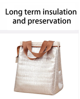 Sac isotherme thermique à fermeture éclair isolé portable avec doublure en feuille d'aluminium durable pour le transport de déjeuner promotionnel