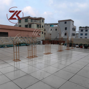 ZKAI Set Moderno per Decorazioni Festa, <span class=keywords><strong>Arco</strong></span> Dorato con Supporto per Sfondo, Illuminazione LED, Set per Sfondo Matrimoniale con Fiori - Product Image 2
