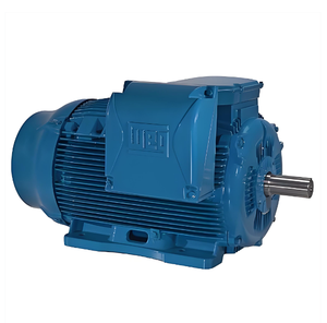 มอเตอร์ Weg W22 แบบป้องกันการระเบิด 400/690V กำลัง 10hp 15hp 20hp 25hp 30hp 40hp มอเตอร์เหนี่ยวนำแบบสามเฟส AC ชนิด Squirrel  ใหม่ 100% - Product Image 6