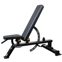 Chaise de fitness multifonctionnelle commerciale pliable et réglable, banc d'haltères, support pour sit-ups, planche d'inversion pour usage domestique