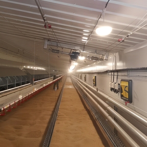 Sistema di Alimentazione Automatico a Catena per Polli, Galline <span class=keywords><strong>e</strong></span> Pollame da Allevamento - Product Image 5
