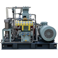 Compresor de Pistón de Hidrógeno H2 Fabricado en China, Completamente Libre de Aceite, Bajo Costo de Mantenimiento, Entrada 4 Bar, Salida 50 Bar, Flujo 30 Nm3/h