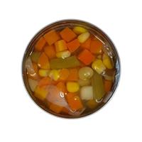 Mélange de légumes en conserve de qualité restaurant (pomme de terre, maïs, carotte, haricots verts) 24 boîtes emballage d'exportation