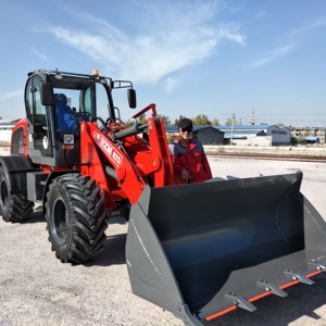 HZM New 825 2.<strong>5Ton</strong> Mini Telescopic <strong>Loader</strong> Log Wheel <strong>Loader</strong> with CE Approval - Product Image 1
