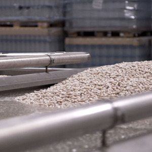 2024 Neuankömmling Can Caps Food Spanien Gesunde gekochte rote Nieren bohnen <span class=keywords><strong>in</strong></span> Dosen mit erschwing lichem Preis 100% Made <span class=keywords><strong>in</strong></span> Spanien