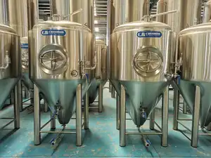 Restoran bira ekipmanları için 18BBL 8BBL bira makinesi