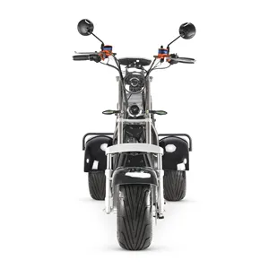 Haustür versand 60V Lithium batterie Dual 2000W Motor Großrad Vollfett Erwachsenen Elektromotor rad Trike zu verkaufen