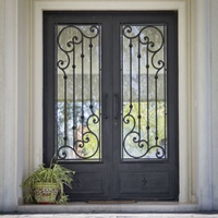 Porte d'entrée de sécurité en acier avec verre, portail extérieur double en fer forgé noir à vendre