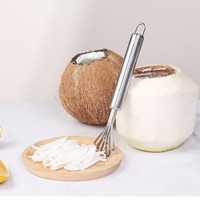 Groothandel Directe Bron Jieyang RVS Vijf-tandige Vis-schubben Handmatige Multifunctionele Fruit- en Groente Rasp voor de Keuken