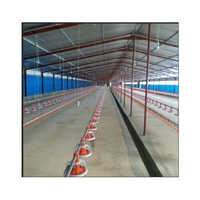 Mangeoires animaux pour élevage de volaille, système d'alimentation automatique et de ventilation pour chevelure, volaille, poulet