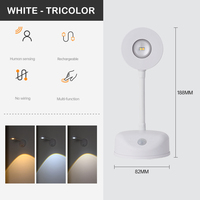 Lampe LED Dailu d'intérieur rechargeable avec détecteur de mouvement et télécommande, veilleuse
