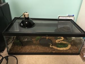 طقم زواحف حاويات أكريليك برطمان نباتات صب مزهرية لوازم هندسية Pvc إكسسوارات ديي خزان مغلق Terrarium