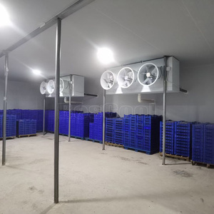 Phòng lạnh lưu trữ hệ thống làm mát Tủ đông đơn vị đi bộ trong mát cho trái cây và hoa tủ lạnh - Product Image 6