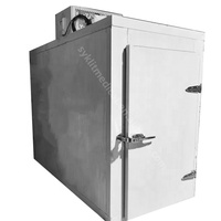Refroidissement par air sans givre 2 cadavres morgue cadavre congélateur réfrigérateur mortuaire à vendre