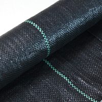Toile de paillage anti-mauvaises herbes 170 GSM en tissu tissé PP pour l'agriculture commerciale