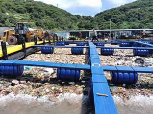 Nos cages à poissons en HDPE vous permettent d'engager une aquaculture à haute densité et de gagner plus de profits à long terme dans l'agriculture. - Product Image 1