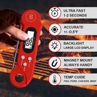 Termómetro Digital Recargable para Carne de Alta Precisión con Retroiluminación para Cocina Exterior, Parrilla, Ahumador, Horno y Repostería