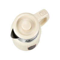 Bouilloire électrique sans fil portable avec contrôle de la température en acier inoxydable coloré pour usage domestique