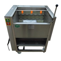 Elektrische multifunctionele gember- en aardappelwasser voor de verwerking van fruit, knoflook en groenten in de voedingsindustrie