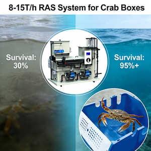 Système de culture verticale de crabes de boue en bacs, système <span class=keywords><strong>RAS</strong></span> pour l'élevage intensif de crabes de boue à faible coût d'exploitation - Product Image 1