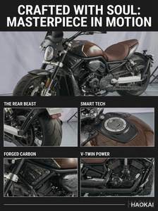 <span class=keywords><strong>Moto</strong></span> à deux cylindres refroidie par eau de 650 cm3, EURO 5, 41 kW, transmission par courroie, freins ABS, vitesse maximale de 95 km/h - Product Image 3