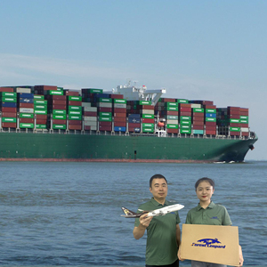 First-Class Freight Forwarder DHL Express Air Shipping From Shenzhen China to Worldwide USA Canada UK France Germany <strong>Middle</strong> East - Product Image 1