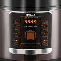 Cuisinière électrique programmable multi-cuiseurs OEM/ODM HALEY, fournisseur vérifié, pour les distributeurs de cuisineries professionnelles
