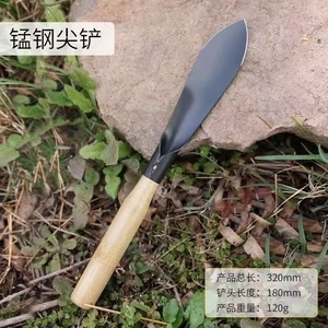 Petite pelle jardin Art creuser légumes sauvages pelle <span class=keywords><strong>ail</strong></span> fleur outils Ganhai ferme légumes outils charnu - Product Image 2