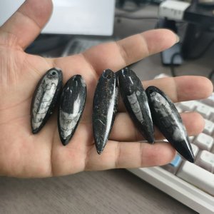 Colgante de collar de cuentas de piedra curativa de fósil negro natural de Orthoceras en forma de gota para arte popular DIY al por mayor - Product Image 1
