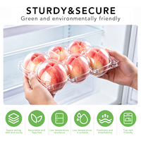 Transparante PET perzikverpakking met scharnierend deksel voor 6 verse perziken, wegwerpbaar fruitverpakking, food grade, groothandel, detailhandel, supermarkt