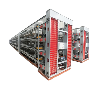 Otomatik Katmanlı Yumurta Kafesleri H-tipi Çiftlik Tavukları Yetiştirme Bataryası Galvanizli Tavuk Kafesi Satılık Galvanizli Tavuk Kafesi - Product Image 1
