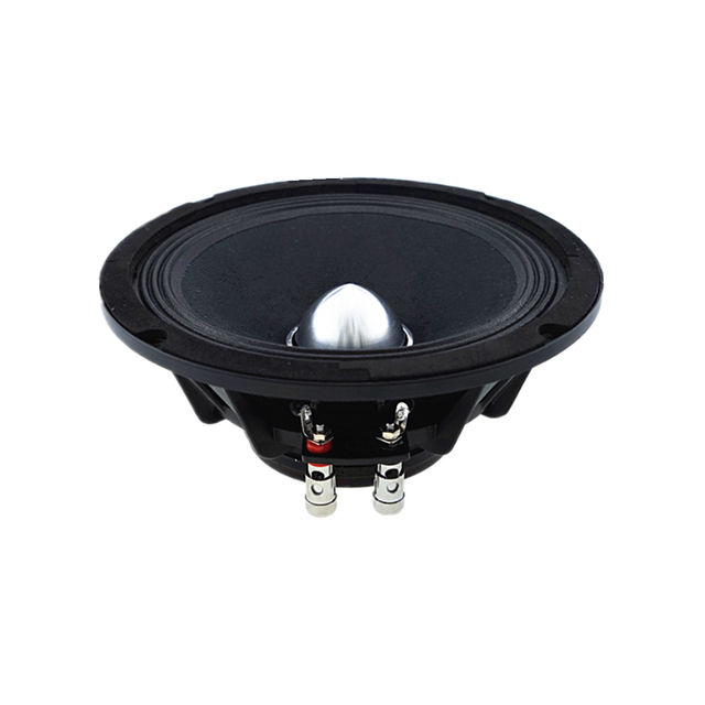 China Factory Wholesale 6.5 Inch PA Speaker Neodymium Woofer Speaker ( ZNW-166-01)