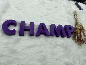 تصميم جديد مخصص شعار ثلاثي الأبعاد للإعلانات المعدنية بإضاءة خلفية علامة للأعمال في الهواء الطلق - Product Image 3