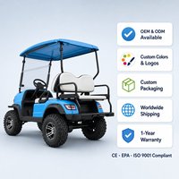 Voiturette de golf à essence 2 places 4 temps GY6 300CC, buggy tout-terrain 2 personnes, couleurs personnalisées OEM, 45 km/h, autonomie 100-120 km