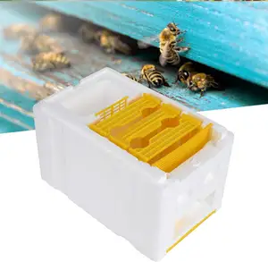 Mini caja de apareamiento Nuc de 18 piezas/cartón, caja de cría de Reina, equipo de apicultura, colmena de cría de reina de espuma para Apicultor