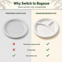 Plateau léger et polyvalent en bagasse de canne à sucre à 3 compartiments pour service de buffet