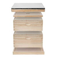 Colmena OEM Precio de fábrica Abeto chino 10 Marco Langstroth Colmena Kit Colmenas de abejas