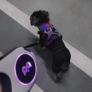 Guinzaglio per cani Premium LED con personalizzazione del Logo con cavo in Nylon rotante a 360 ° e caricatore USB - Product Image 5