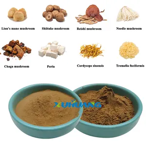 Mushroom Extract Xuhuang Supply Shiitake Mushroom Extract OEM Service Mushroom Blend Powder