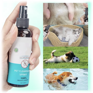 <span class=keywords><strong>Spray</strong></span> anti-puces et anti-tiques parfumé à la lavande PetFit OEM pour chats et chiens domestiques, <span class=keywords><strong>spray</strong></span> répulsif efficace pour chiens - Product Image 3