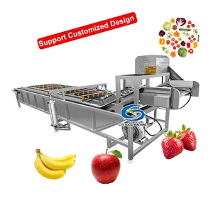 Best Price Green Pepper Peanut Sugarcane Cleaning Machine Papaya Banana Apple Washing Machine