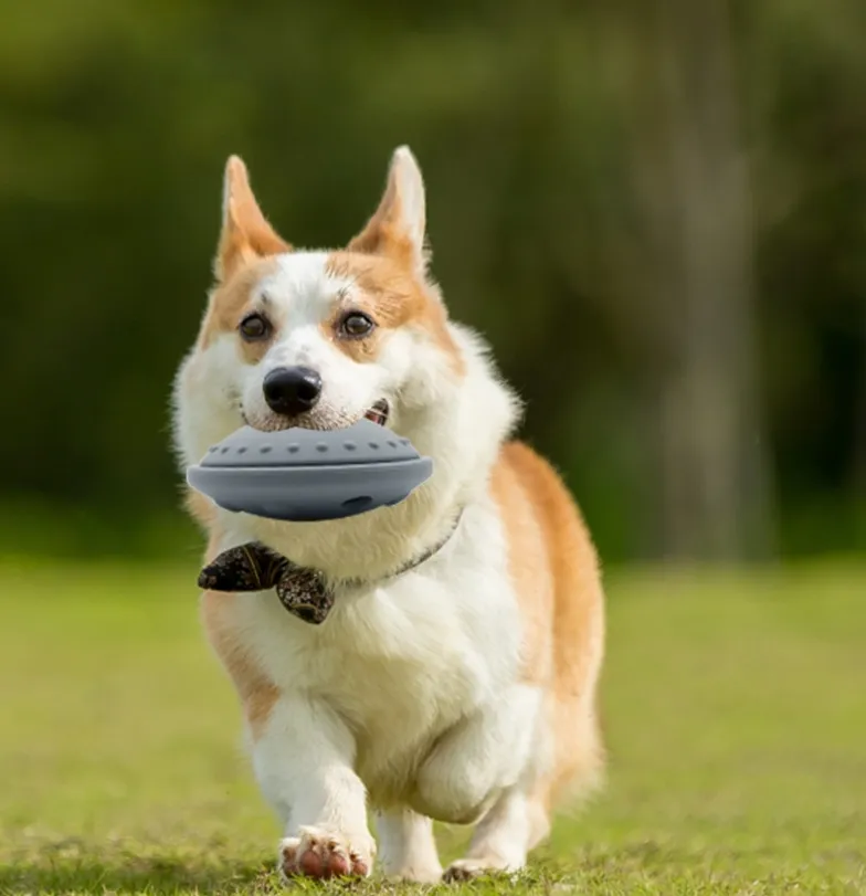 Brinquedo de silicone macio para animais de estimação, brinquedo interativo para treinamento de cães, quebra-cabeça para alimentar bolas e doces, novidade durável