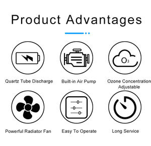 Flygoo Source d'air 3G 5G 10G OzonAqua générateur d'ozone portable pour ozoniseur d'eau purificateur d'eau Machine - Product Image 6